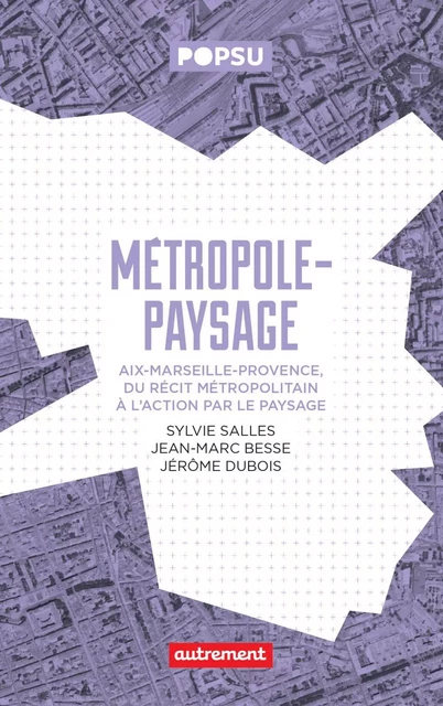 Métropole-paysage - Jean-Marc Besse, Jérôme Dubois, Sylvie Salles,  Collectif - Autrement