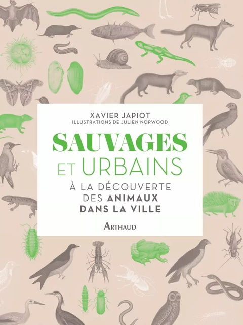 Sauvages et Urbains. A la découverte des animaux de la ville - Xavier Japiot - Arthaud