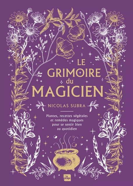 Le grimoire du magicien - Nicolas Subra - La Plage