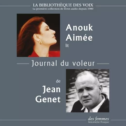 Journal du voleur