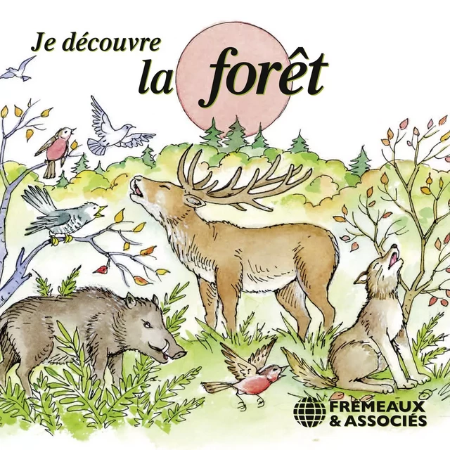 Je découvre la forêt - Pierre Huguet - Frémeaux & Associés