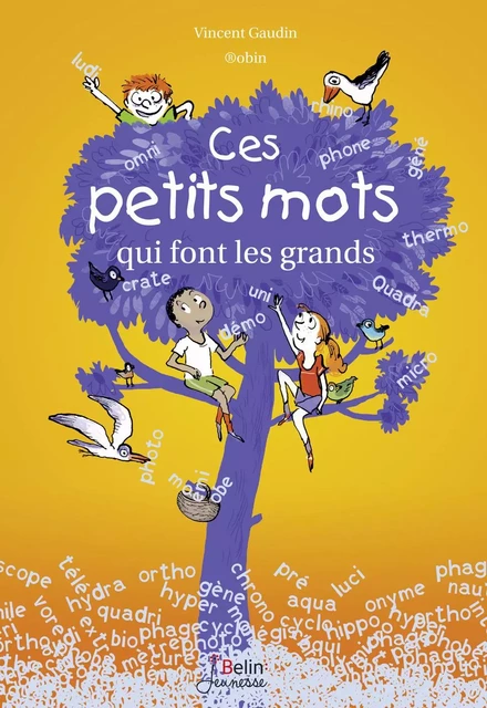 Ces petits mots qui font les grands - Vincent Gaudin - Humensis