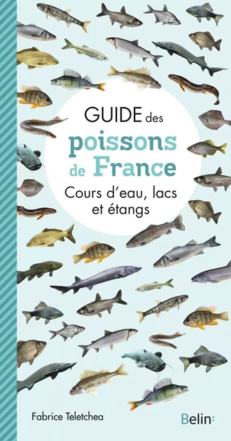 Guide des poissons de France - Fabrice Teletchea - Humensis