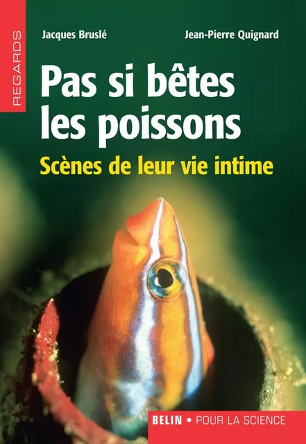 Pas si bêtes les poissons - Jacques Bruslé, Jean-Pierre Quignard - Humensis