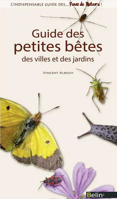 Guide des petites bêtes des villes et des jardins - Vincent Albouy, Guillaume Eyssartier - Humensis