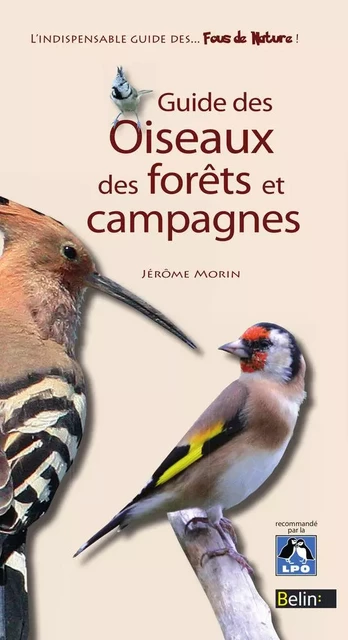 Guide des oiseaux des forêts et campagnes - Jérôme Morin - Humensis