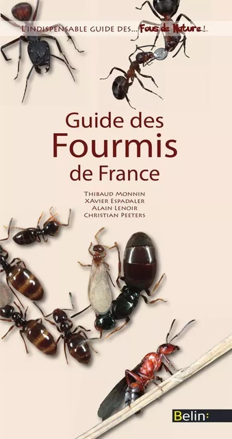 Guide des Fourmis de France - Xavier ESPADALER, Guillaume Eyssartier, Alain Lenoir - Humensis