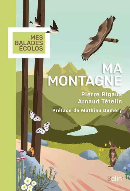 Ma montagne - Pierre Rigaux, Arnaud Tételin, Mathieu Duméry - Humensis