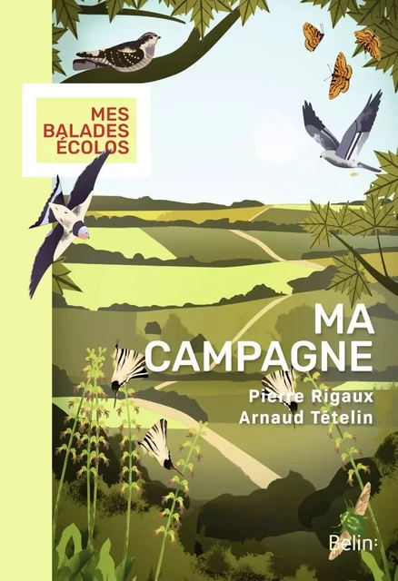 Ma campagne - Pierre Rigaux, Arnaud Tételin, Mathieu Duméry - Humensis