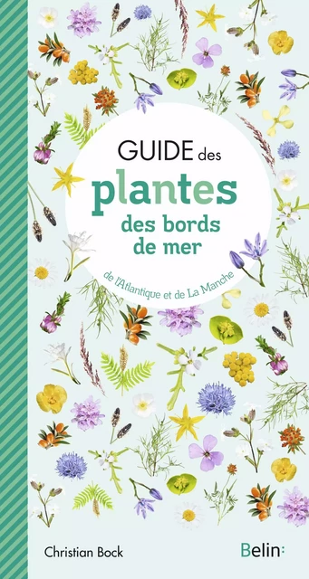 Guide des plantes des bords de mer - Christian Bock - Humensis