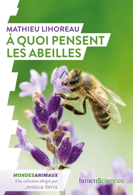 À quoi pensent les abeilles ? - Jessica Serra, Mathieu LIHOREAU - Humensis