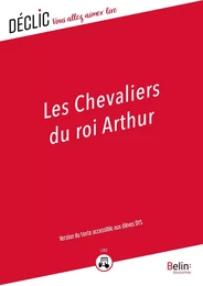 Les chevaliers du roi Arthur - DYS