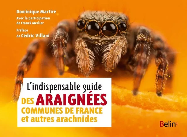 L'indispensable guide des araignées de France et autres arachnides - Guillaume Eyssartier, Dominique Martiré, Franck Merlier - Humensis