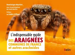 L'indispensable guide des araignées de France et autres arachnides