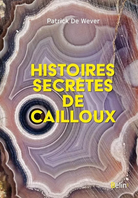 Histoires secrètes de cailloux - Patrick De Wever - Humensis