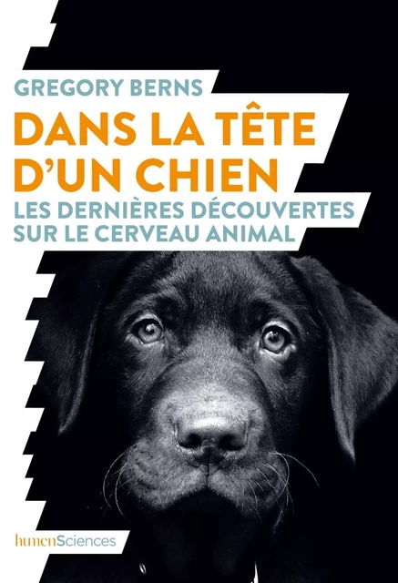 Dans la tête d'un chien - René Cuillierier, Gregory Berns - HUMENSCIENCES