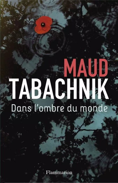 Dans l'ombre du monde - Maud Tabachnik - Flammarion jeunesse