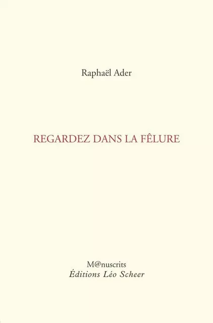 Regardez dans la fêlure - Raphaël Ader - Editions Léo Scheer