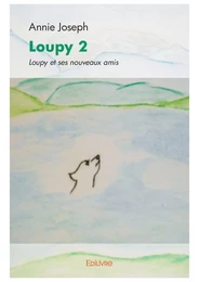 Loupy 2