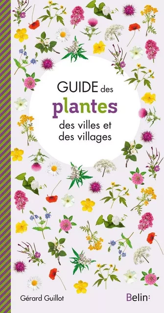 Guide des plantes des villes et villages - Guillaume Eyssartier, Gérard Guillot - Humensis