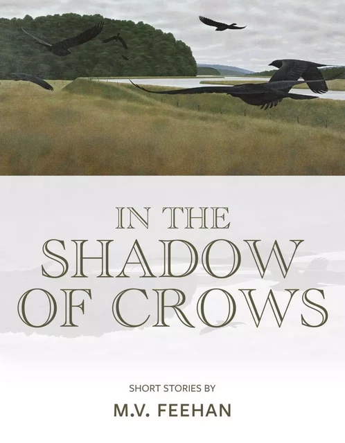 In the Shadow of Crows - Mary Verna Feehan - Baraka Fiction