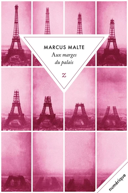 Aux marges du palais - Marcus Malte - Zulma