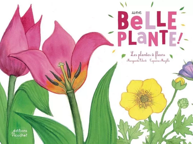 Une belle plante ! - Marguerite Tiberti - Les Editions du Ricochet