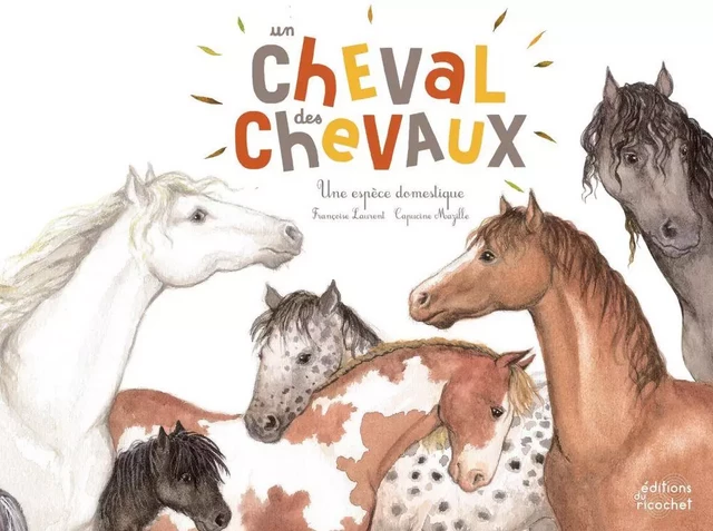 Un cheval, des chevaux - Françoise Laurent - Les Editions du Ricochet