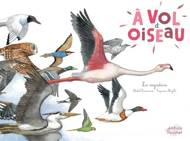 À vol d'oiseau - Michel Francesconi - Les Editions du Ricochet