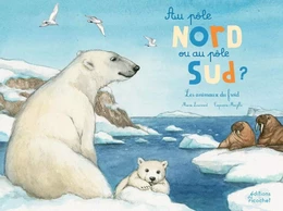 Au pôle Nord ou pôle Sud ?