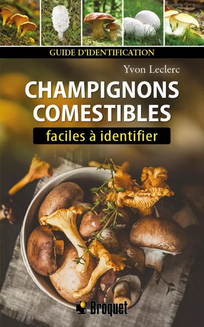 Champignons comestibles faciles à identifier N.E. - Yvon Leclerc - Broquet