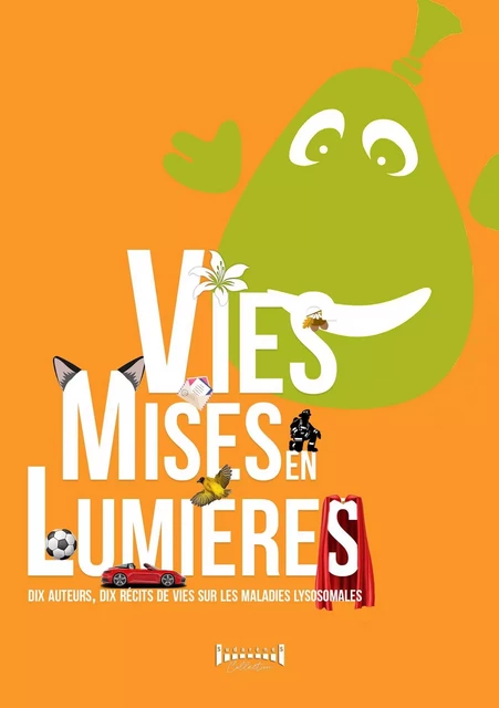 Vies mises en lumières - Collectif Sudarènes - Sudarènes Editions