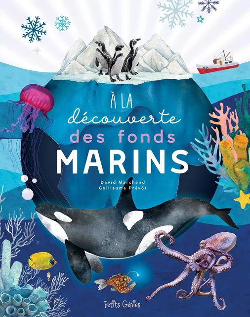 À la découverte des fonds marins - Guillaume Prévôt, David Marchand - Shoebox MEDIA