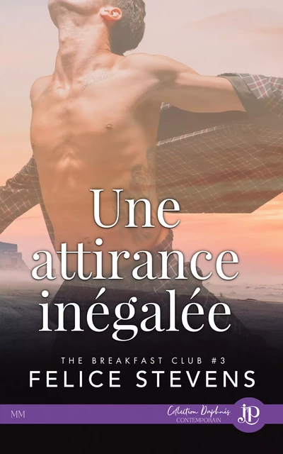 Une attirance inégalée - Felice Stevens - Juno Publishing