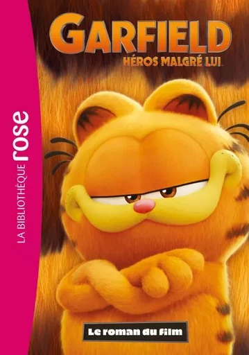 Garfield, héros malgré lui - Le roman du film -  Nickelodeon - Hachette Jeunesse