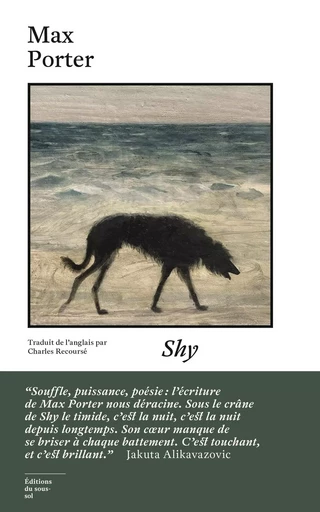 Shy - Max Porter - Editions du sous-sol