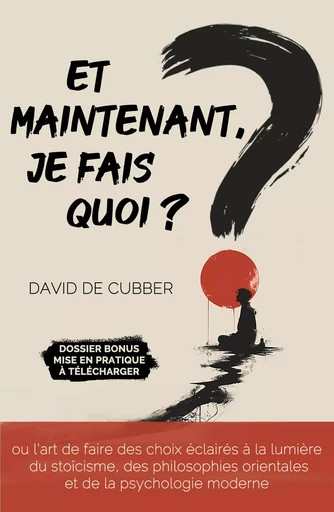 Et maintenant, je fais quoi ? - David De Cubber - Librinova