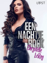 Een nachtje rock - Een erotisch verhaal