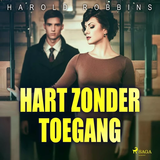 Hart zonder toegang - Harold Robbins - Saga Egmont International