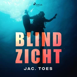 Blind zicht