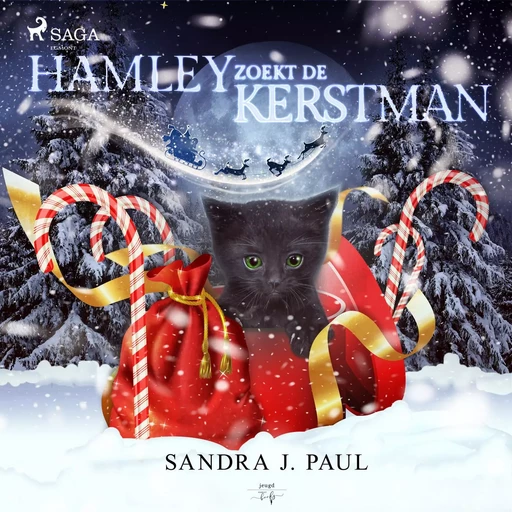 Hamley zoekt de kerstman - Sandra J. Paul - Saga Egmont International