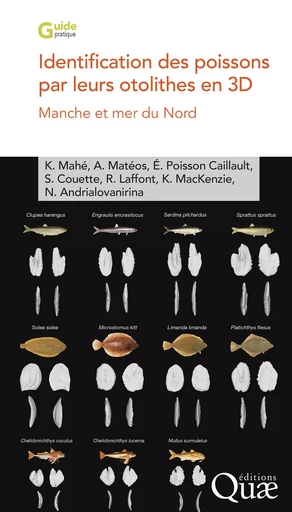 Identification des poissons par leurs otolithes en 3D - Mahé Kélig, Aurélie Matéos, Émilie Poisson Caillault, Sébastien Couette, Rémi Laffont, Mackenzie Kirsteen, Nicolas Andrialovanirina - Quae