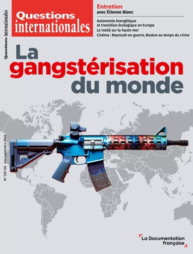 La gangstérisation du monde - Pierre Berthelet, Manon Blancafort, Yann Brun, Clotilde Champayrache, Clotilde Champeyrache, Mélanie Christin, Chantal Cutajar, Kheira Djouhri, Mélanie Dubuy, Francis Fortin, Jean-Baptiste Féline, Éliane Houlette, Nacer Lalam, Benoît Martin, Charlotte Moge, Frédéric Monier, Christophe Perret, Marc-Antoine Pérouse de Montclos, Fabrice Rizzoli, Donatienne Sadicoult, Serge Sur, Michel Tabbal, Aurélie Tardieu, Cédric Tellenne, Erwann Tor, Christian Tournié, Jean Baptiste Féline, Yves-Daniel Desauve, Sabine Jansen - La Documentation française