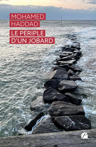 Le périple d’un jobard  - Mohamed Haddad - Editions du Panthéon