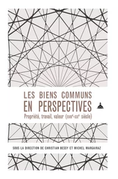 Les biens communs en perspectives