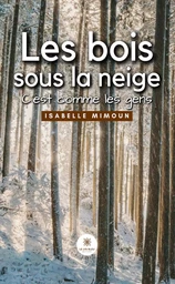 Les bois sous la neige