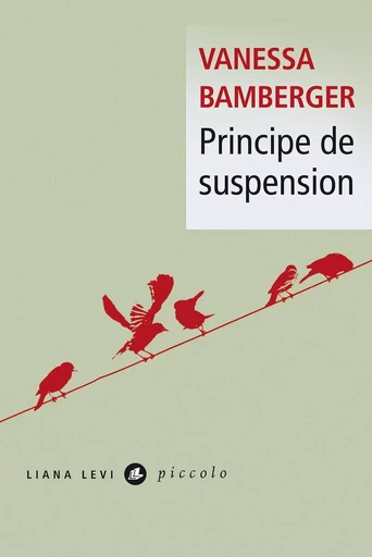 Principe de suspension - Vanessa Bamberger - LIANA LEVI