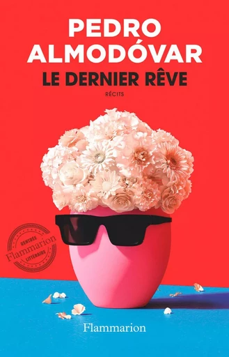 Le Dernier Rêve - Pedro Almodóvar - Flammarion