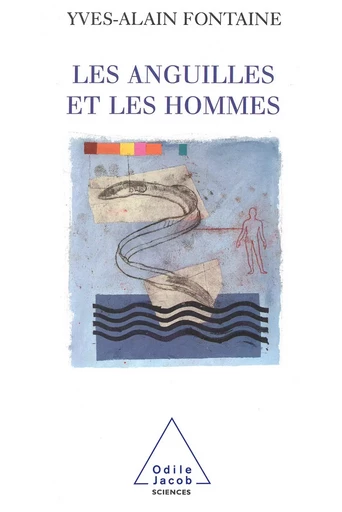 Les Anguilles et les Hommes - Yves-Alain Fontaine - Odile Jacob