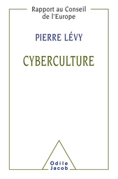 Cyberculture